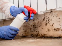 Mold Documentation for Insurance Claims in Patton Village, TX